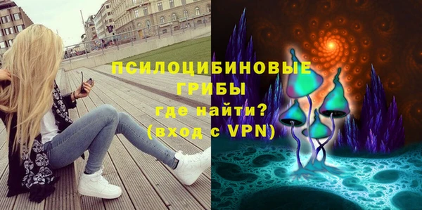 шишки Бронницы