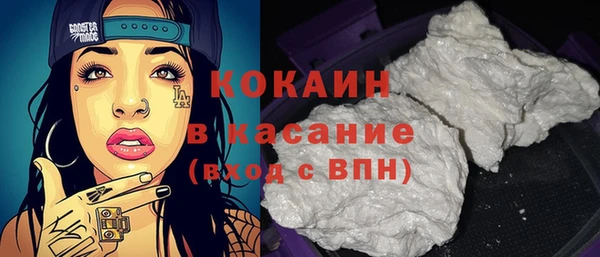 шишки Бронницы
