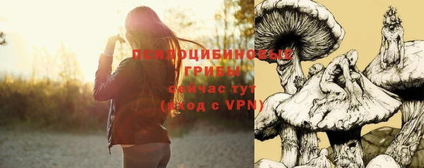 спайс Зуевка