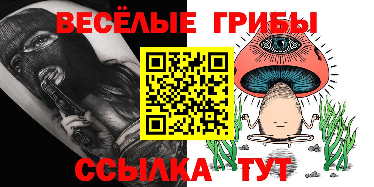 Псилоцибиновые грибы Magic Shrooms  Вход с VPN  Зима 