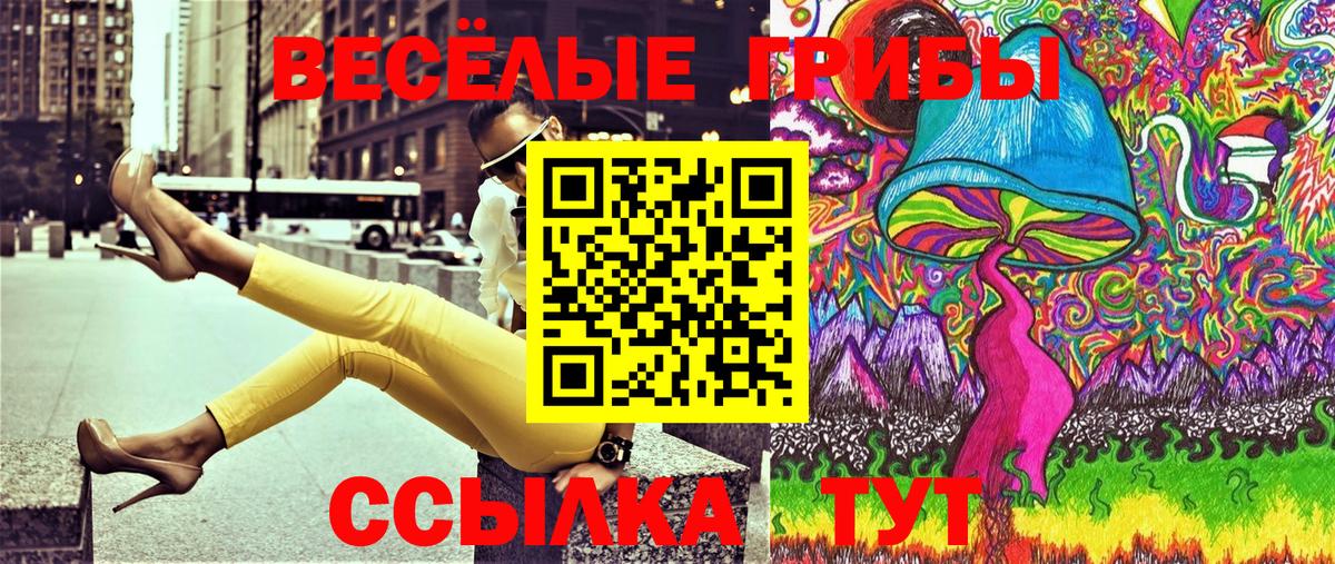 Галлюциногенные грибы MAGIC MUSHROOMS Зима