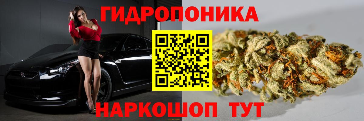 Зима  Шишки марихуана Bruce Banner  Канабис сатива  Вход с VPN  Конопля марихуана  Марихуана гибрид 